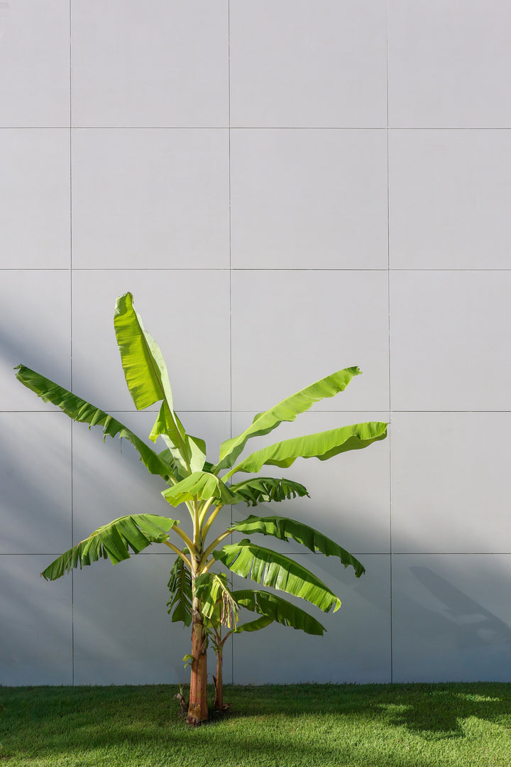 Aeris Dekton 8mm in an outdoor setting