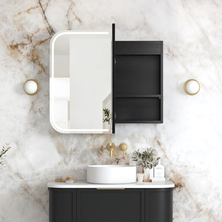 LED Newport 900(W)x750(H) Black Oak Shaving Cabinet Premium Edition view 2