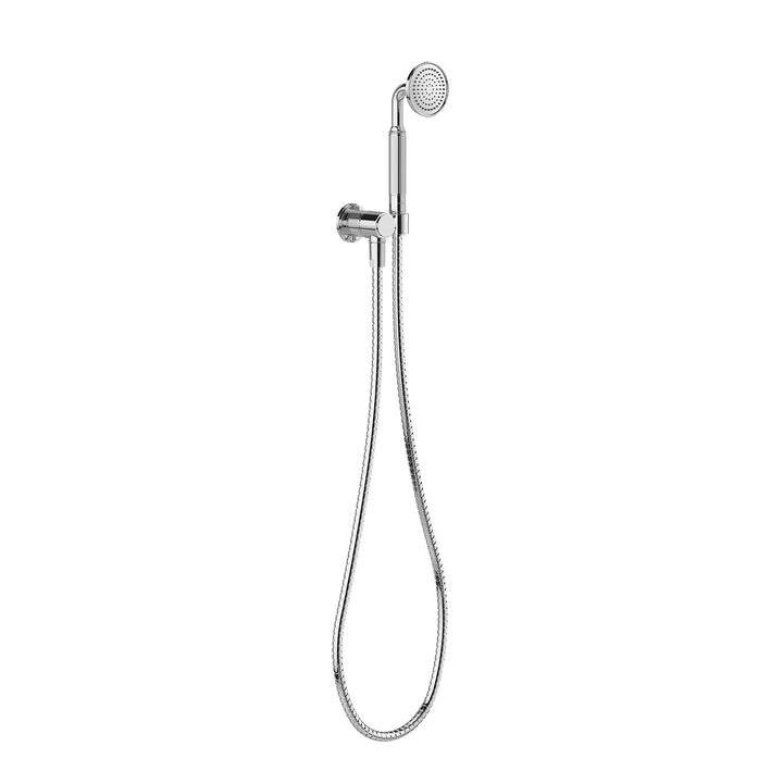 Wiltern Hand Shower - Chrome