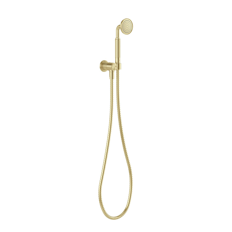 Wiltern Hand Shower - Brushed Carbon