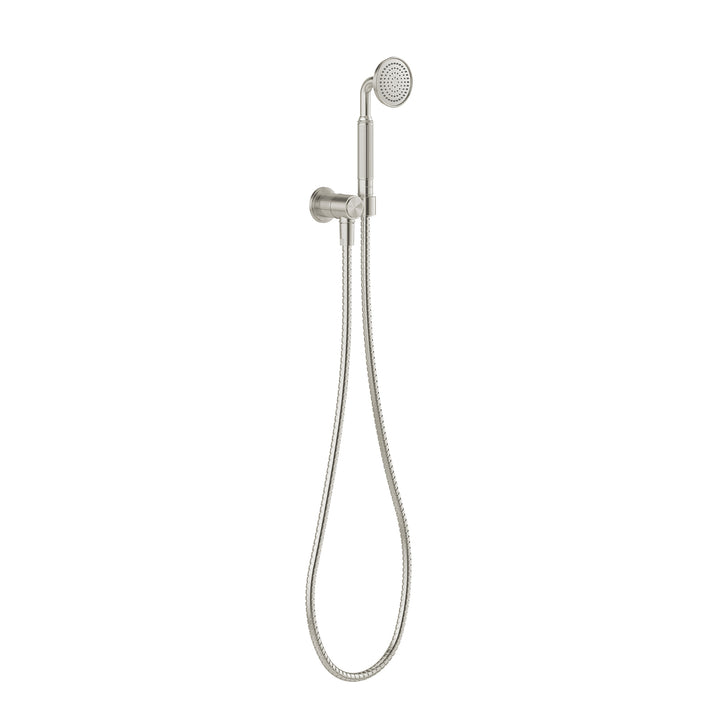 Wiltern Hand Shower - Brushed Nickel