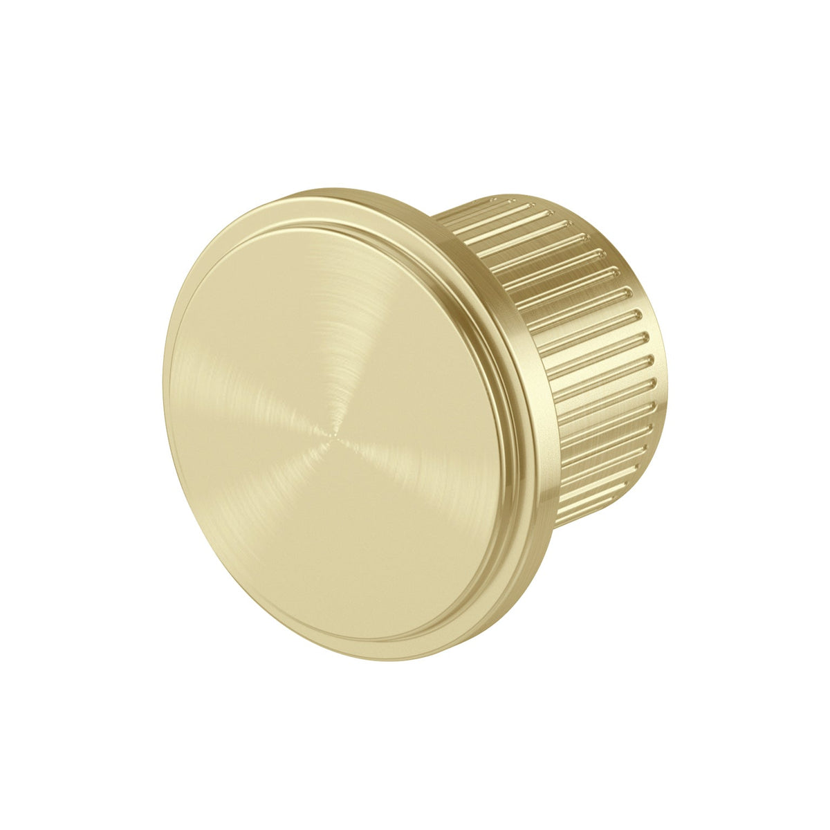 Wiltern Robe Hook - Brushed Gold