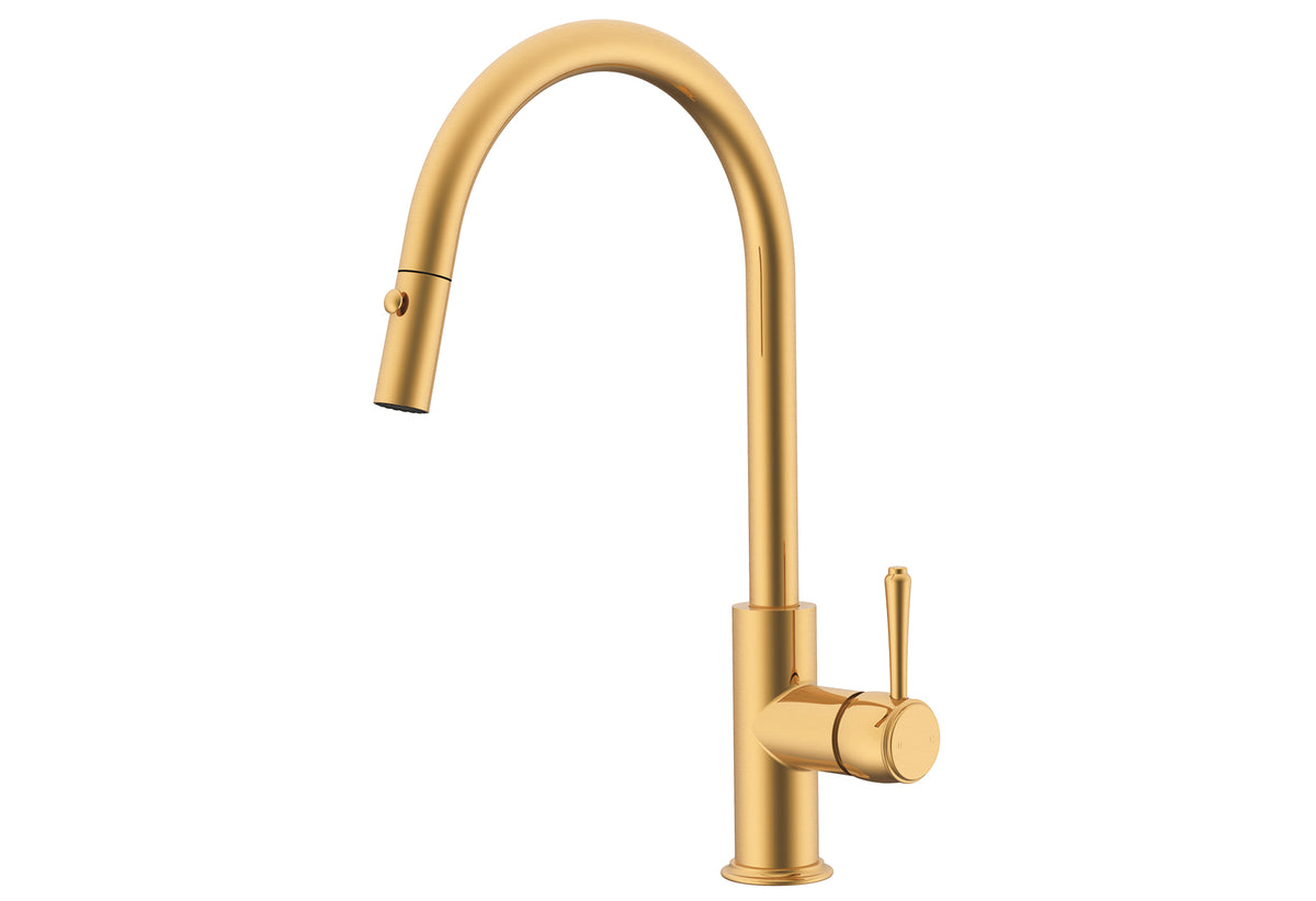 Eternal Pull Out Kitchen Mixer - Brushed Brass