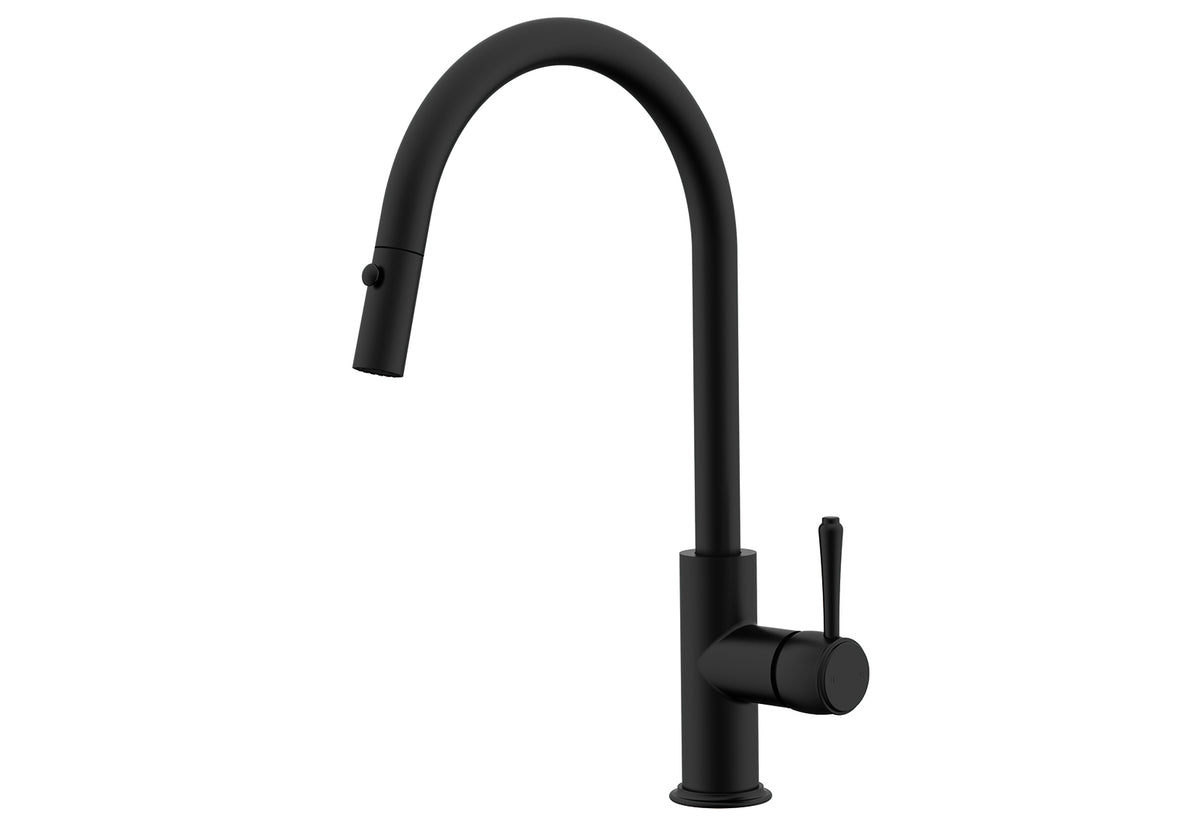 Eternal Pull Out Kitchen Mixer - Matte Black