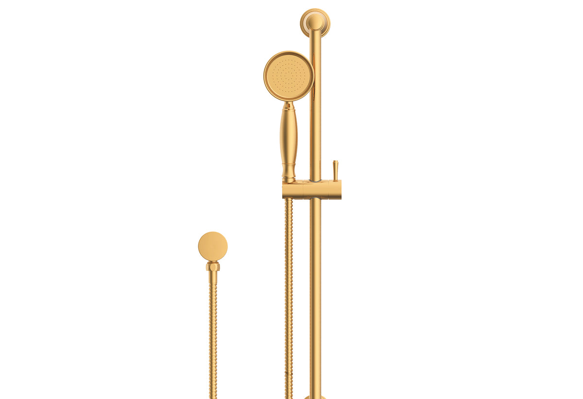 Eternal Hand Shower on Rail - Brushed Brass