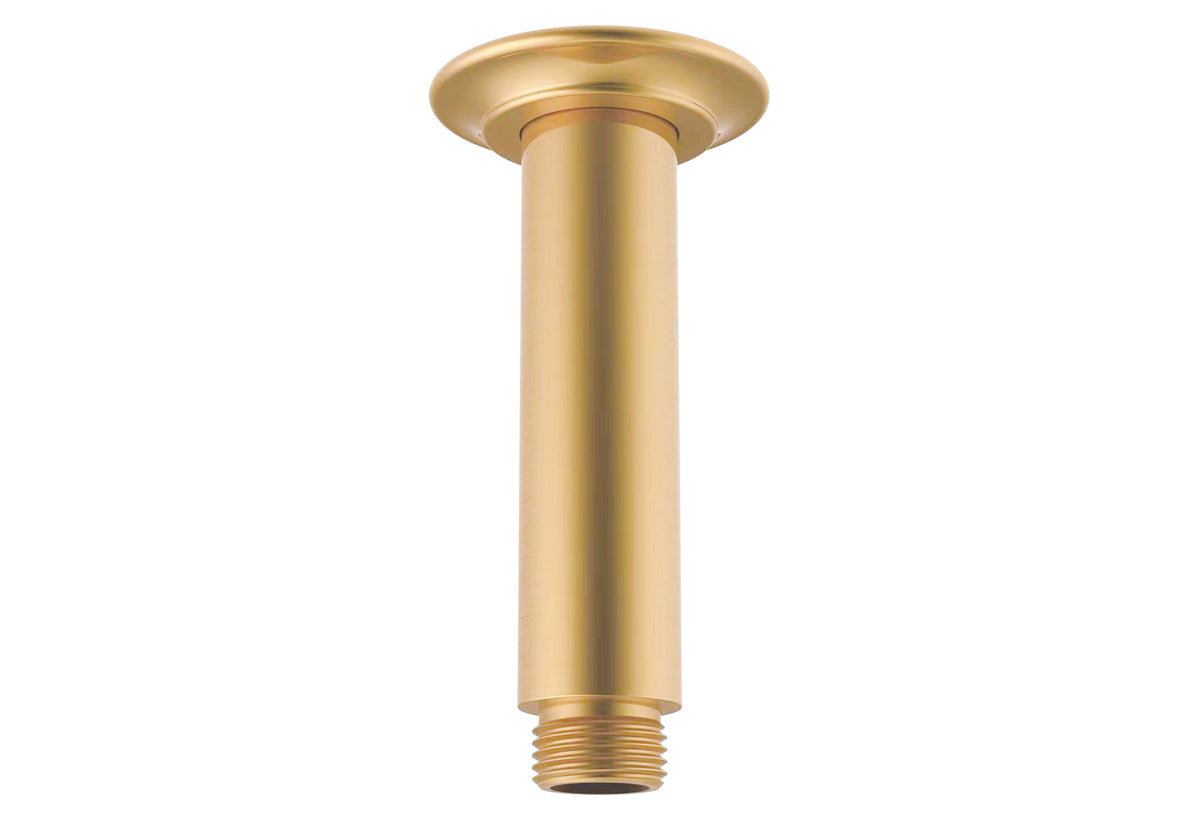Eternal Shower Dropper 100mm - Brushed Brass