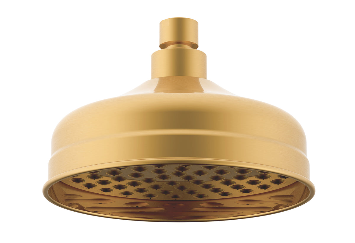 Eternal Shower Rose - Brushed Brass