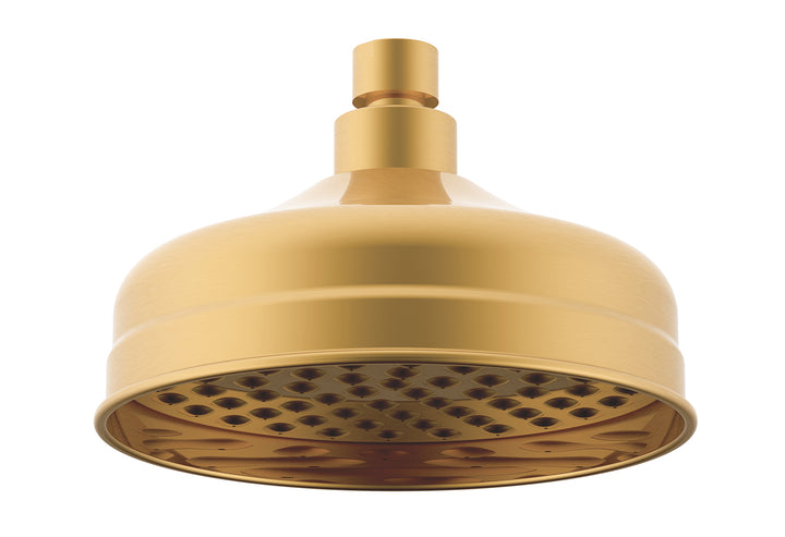 Eternal Shower Rose - Brushed Brass