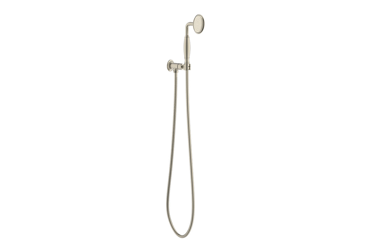 Eternal Hand Shower on Hook - Brushed Nickel