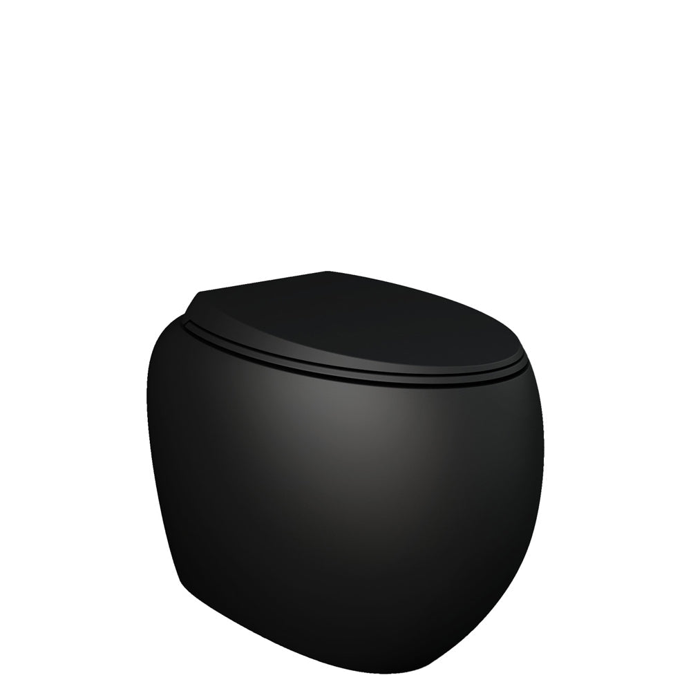 RAK Cloud Wall-Faced Toilet Suite, Matte Black - product