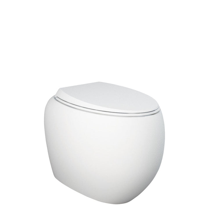 RAK Cloud Wall-Faced Toilet Suite, Matte White - product