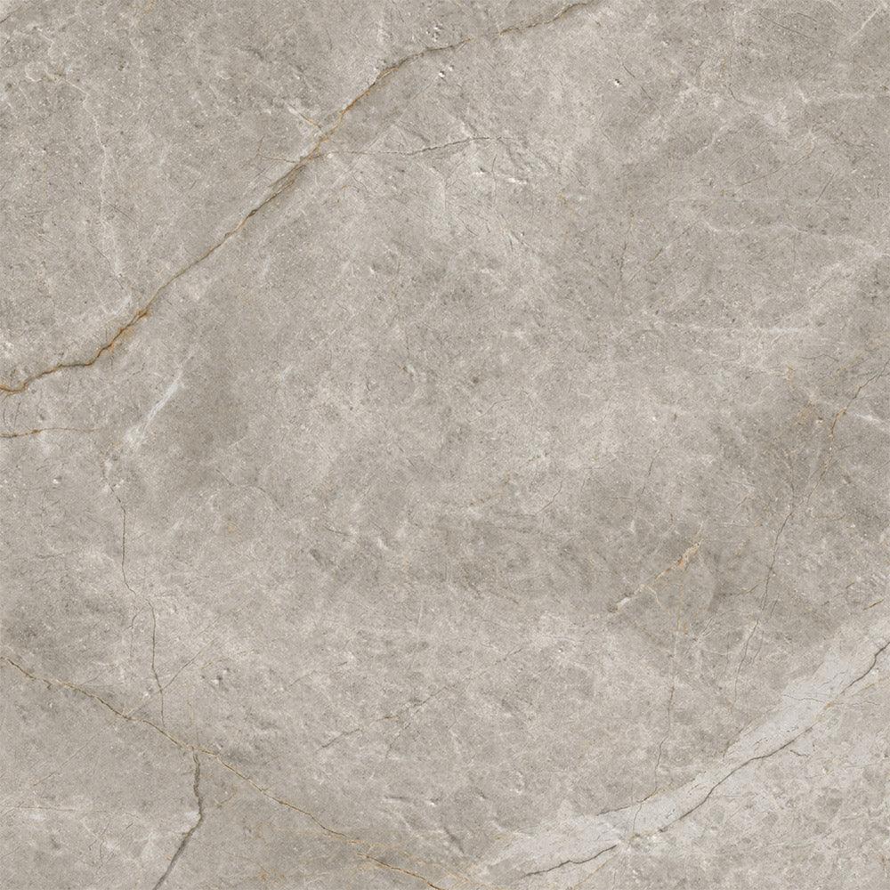 Adore Taupe Porcelain Tile tile face