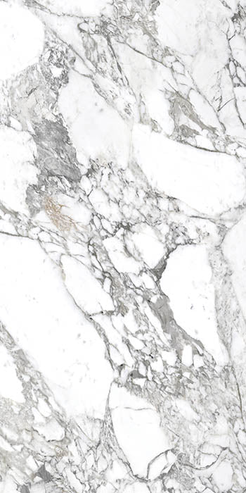 Superb Marble Arabescato Porcelain Tile tile face, 1200 x 600 mm