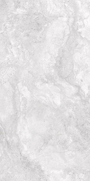 Romestone Argento Porcelain Tile tile face, 1200 x 600 mm