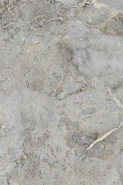 Euromarmo Breccia Grigia Porcelain Tile tile face, 900 x 600 mm