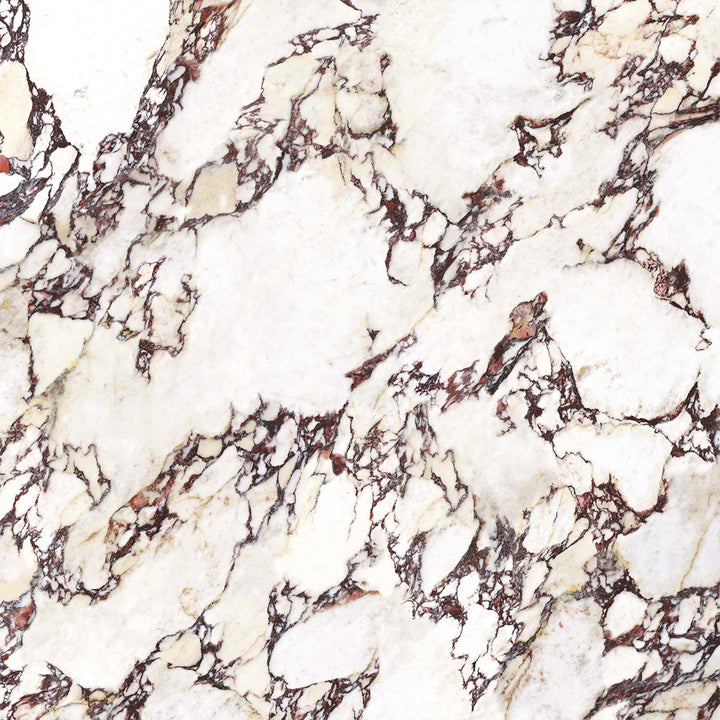 Wonderland Calacatta Viola Porcelain Tile tile face, 1200 x 1200 mm