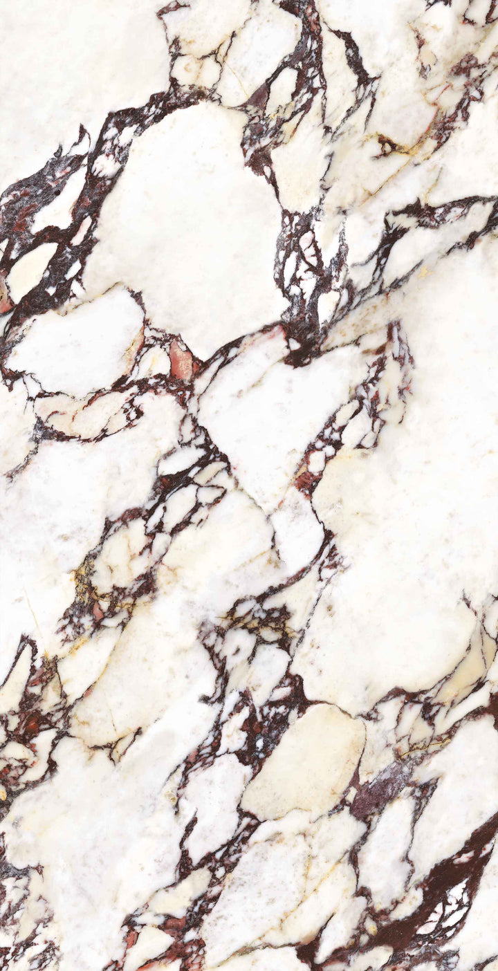 Wonderland Calacatta Viola Porcelain Tile tile face, 1200 x 600 mm