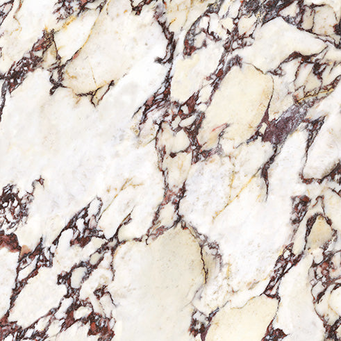 Wonderland Calacatta Viola Porcelain Tile tile face, 600 x 600 mm