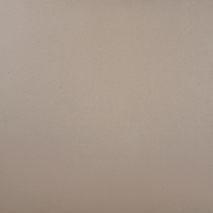 Durastone Latte Porcelain Tile tile face, 600 x 600 mm