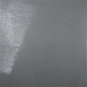 Durastone Steel Grey Porcelain Tile tile face, 800 x 800 mm