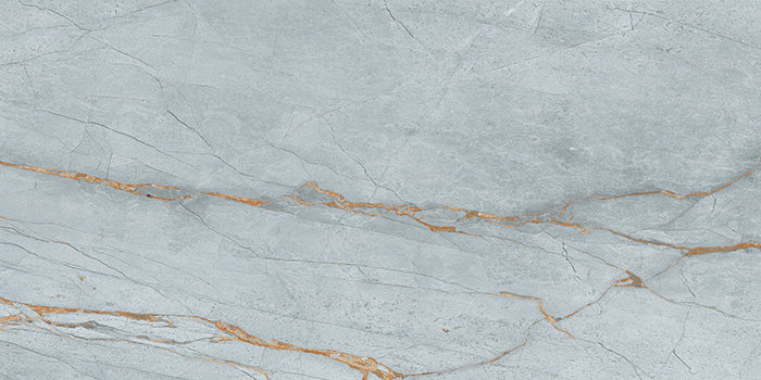 Noble Stone Blue Roma Porcelain Tile tile face, 1200 x 600 mm