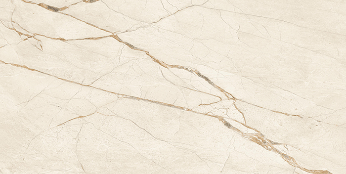 Noble Stone Canela Roma Porcelain Tile tile face, 1200 x 600 mm