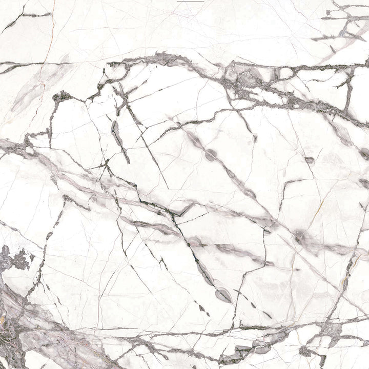 Florence Cellini Porcelain Tile tile face, 1200 x 1200 mm