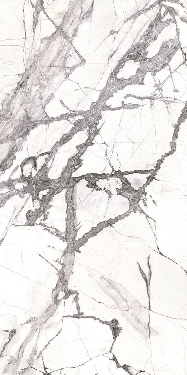 Florence Cellini Porcelain Tile tile face, 1200 x 600 mm