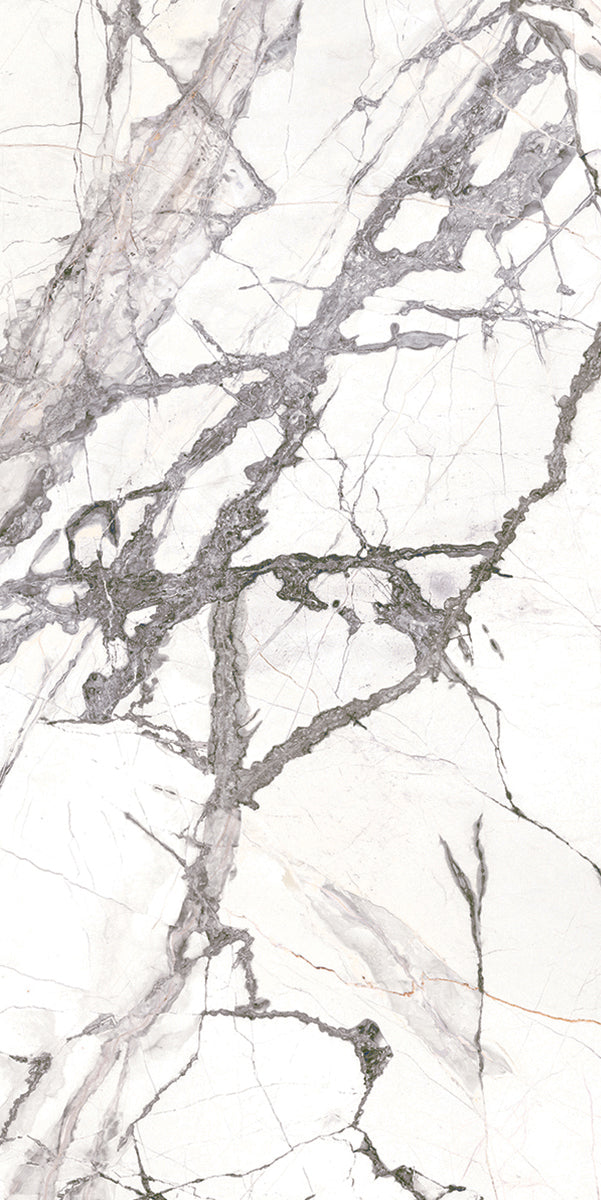 Florence Cellini Porcelain Tile tile face, 1200 x 600 mm
