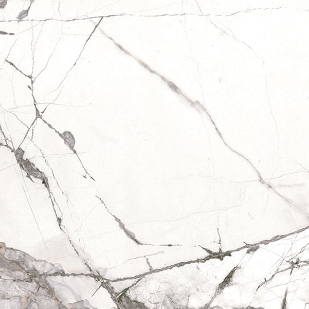 Florence Cellini Porcelain Tile tile face, 600 x 600 mm