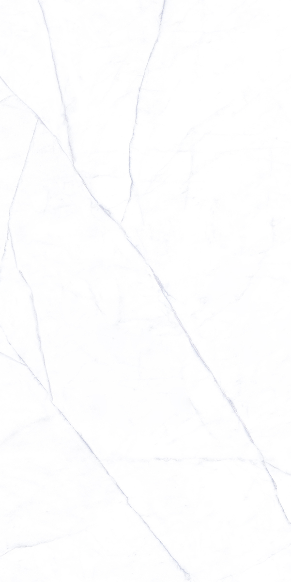 Florence Michelangelo Porcelain Tile tile face, 1200 x 600 mm