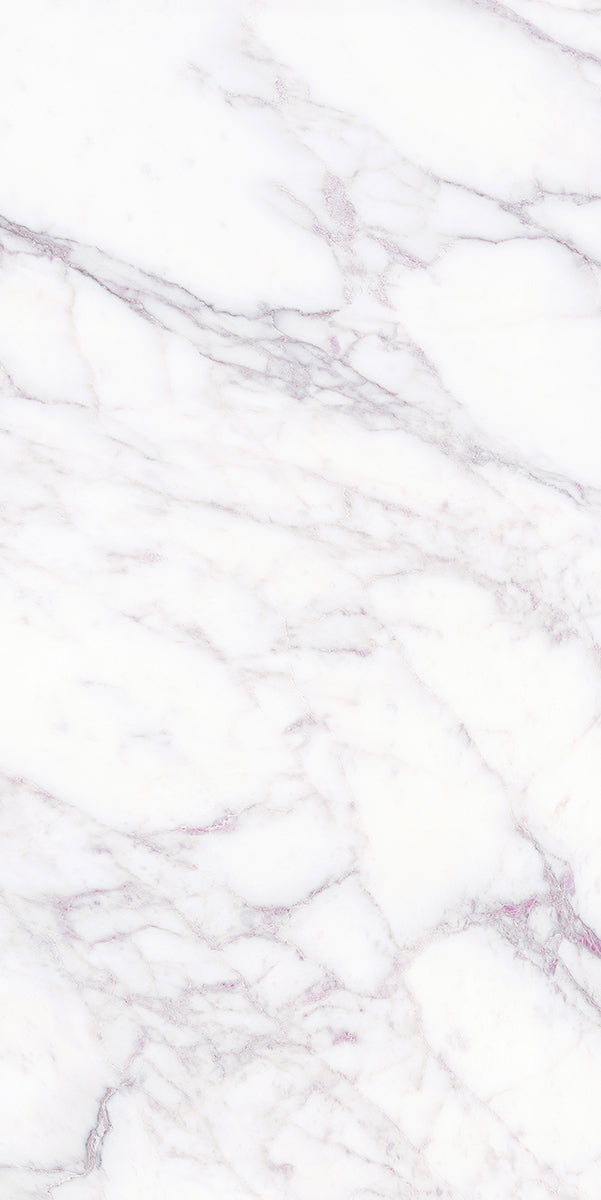 Florence Palladio Porcelain Tile tile face, 1200 x 600 mm