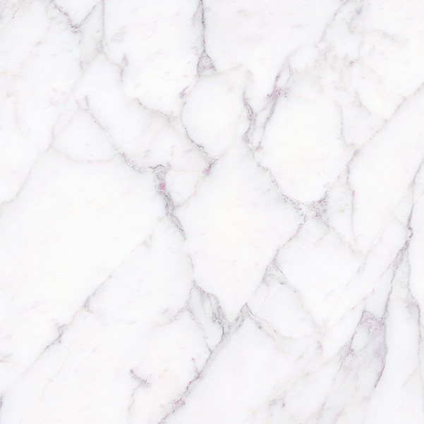 Florence Palladio Porcelain Tile tile face, 600 x 600 mm