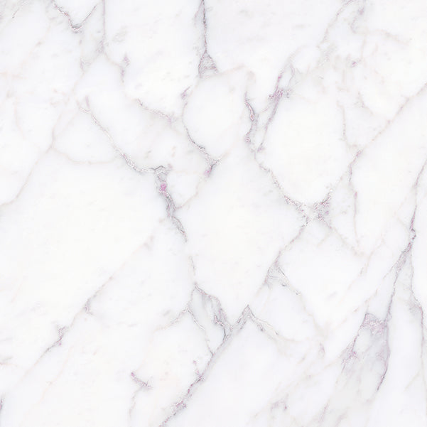 Florence Palladio Porcelain Tile tile face, 600 x 600 mm