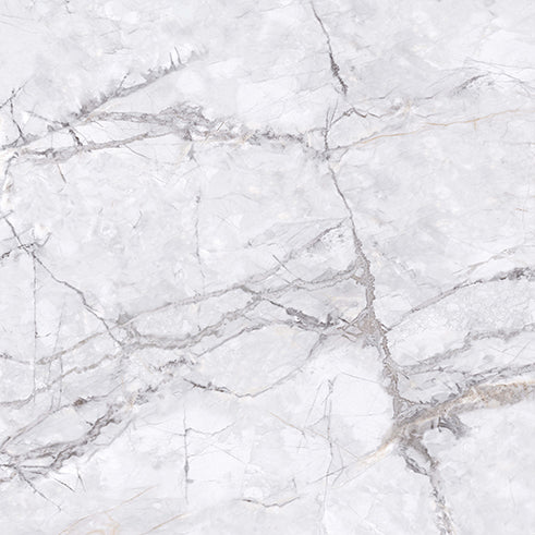 Elite Marble Invisible Grigio Porcelain Tile tile face, 600 x 600 mm