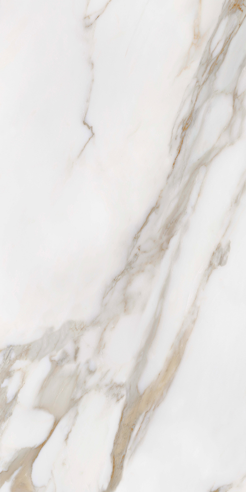 Elite Marble Calacatta Macchia Porcelain Tile tile face, 1200 x 600 mm