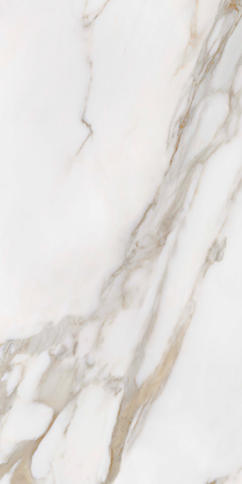 Elite Marble Calacatta Macchia Porcelain Tile tile face, 1200 x 600 mm