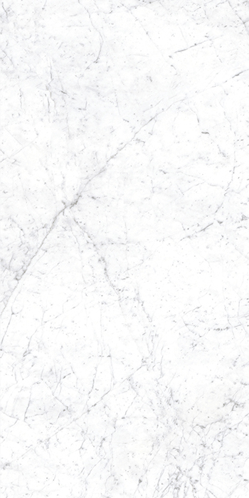 Euromarmo Carrara Venatino Porcelain Tile tile face, 1200 x 600 mm
