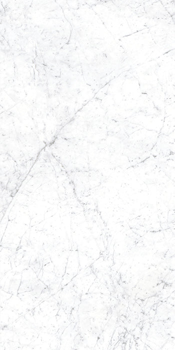 Euromarmo Carrara Venatino Porcelain Tile tile face, 1200 x 600 mm