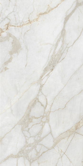 Marine Nature Porcelain Tile tile face, 1200 x 600 mm