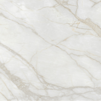 Marine Nature Porcelain Tile tile face, 600 x 600 mm