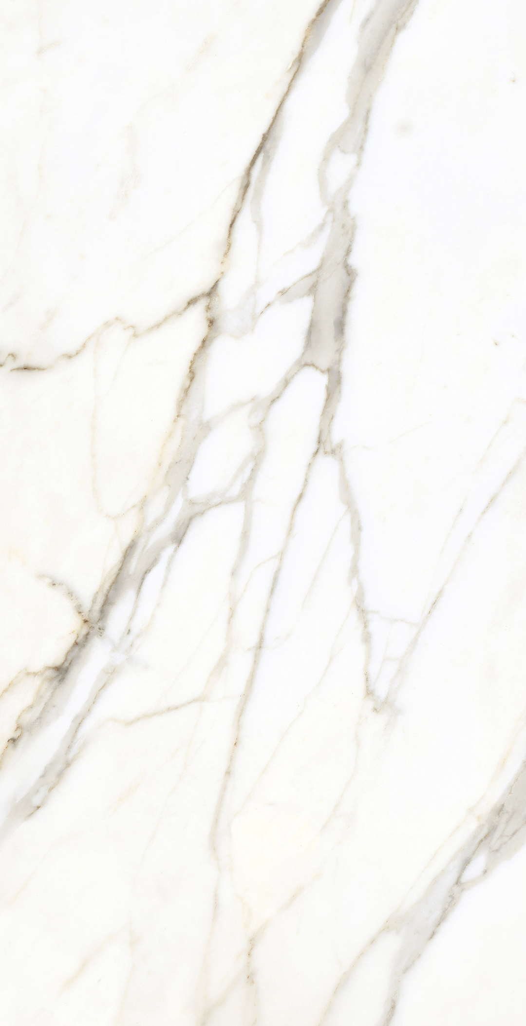 Charme 3D Oro Porcelain Tile tile face, 1200 x 600 mm