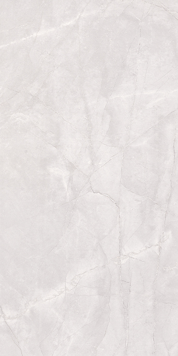 Euromarmo Ice Grey Porcelain Tile tile face, 1200 x 600 mm