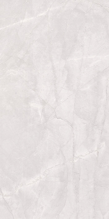 Euromarmo Ice Grey Porcelain Tile tile face, 1200 x 600 mm