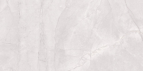 Euromarmo Ice Grey Porcelain Tile tile face, 600 x 300 mm