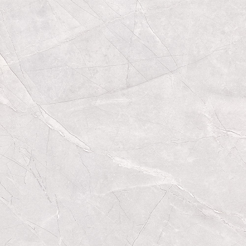 Euromarmo Ice Grey Porcelain Tile tile face, 600 x 600 mm