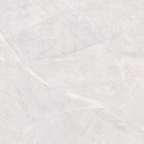 Euromarmo Ice Grey Porcelain Tile tile face, 600 x 600 mm