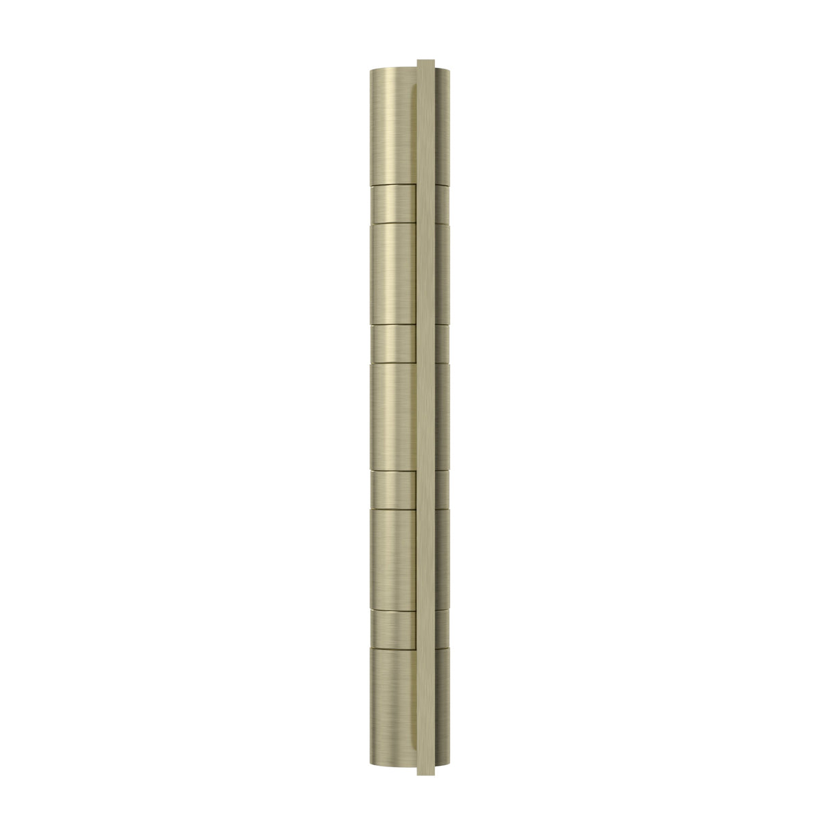 Butt Door Hinge - Tiger Bronze