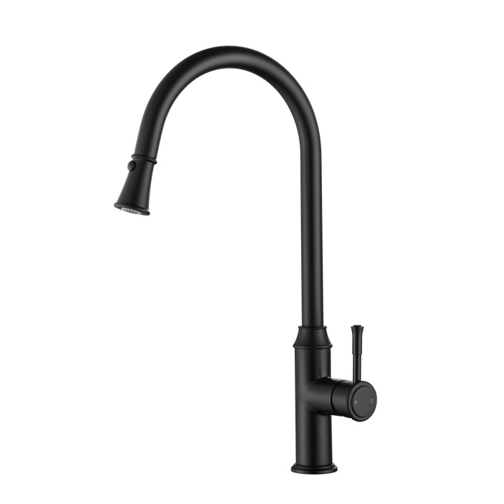 Montpellier Pull-Out Kitchen Mixer - Matte Black