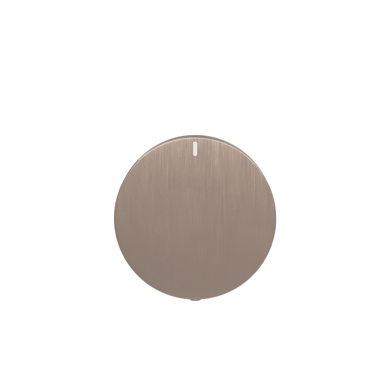 Progressive mixer (in-wall body and Trim set) - Champagne